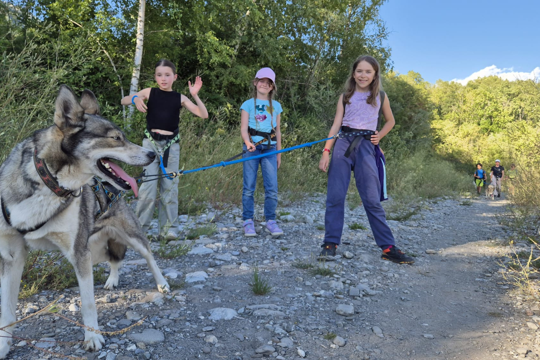 Groupe d'enfants en colo en pleine balade avec des chiens et le musher.